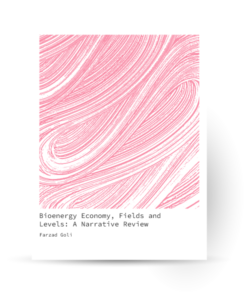 Bioenergy Economy, Fields and Levels: A Narrative Review