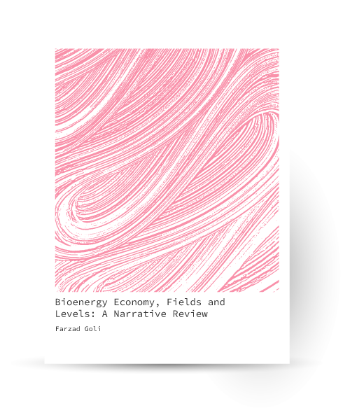 Bioenergy Economy, Fields and Levels: A Narrative Review